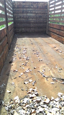 ขายหางพ่วง ( ไม่ดั้ม ) สามมิต  2  เพลา.  ปี 50   สนใจติดต่อ  081 - 6079515