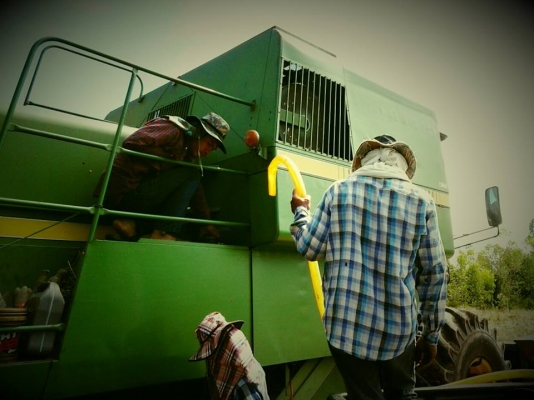 หัวเกี่ยวข้าวโพดมือสอง หัวเกี่ยวข้าวโพดมือสอง