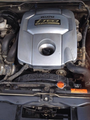 DMAX แพทตินั่ม ปี09