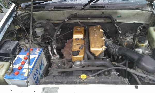 ขาย TFR'96 โฉมดรากอน