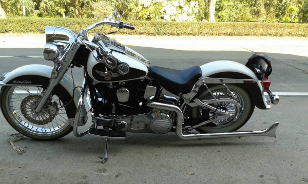 Harley-Davidson Softail 1995 ทะเบียนโอนขนส่ง