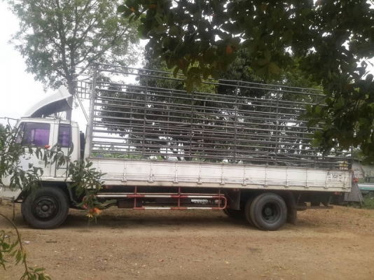 ขาย Isuzu FTR11NY 6ล้อ รถห้าง 160แรง ปี91.