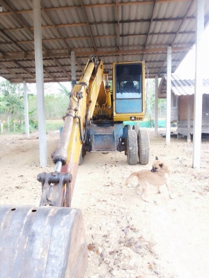 รถแบคโฮ ล้อยาง PC - 100  รุ่น 3.  สนใจติดต่อ  081 - 6079515