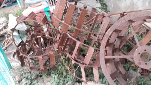 ขายโล ตราช้าง  163    25500