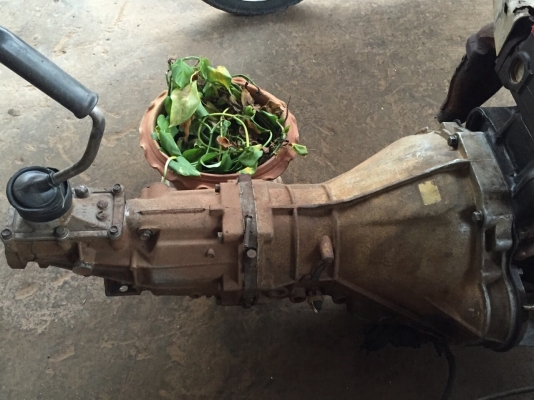 ขายเครื่อง Nissan Big-M ฝาแดง พร้อมเกียร์