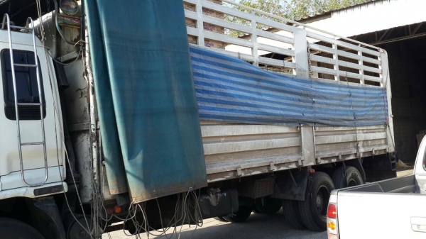 รถอีซูซุ 10 ล้อ รั้ว ( ไม่ดั้ม )  230 แรงม้า. ปี 48  สนใจติดต่อ  081 - 6079515