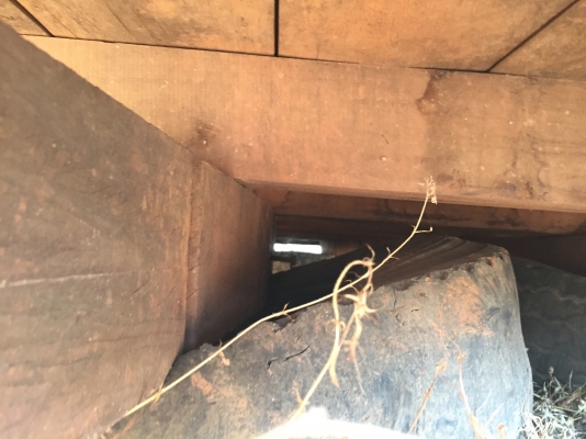 ขายกะบะkM779ยาว5.57