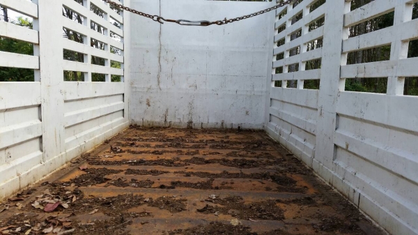 รถอีซูซุ 10 ล้อ หลังถนน FVM12M เปลื่ยนเครื่อง 195 แรงม้า. สนใจติดต่อ 081 - 6079515 รถอีซูซุ 10 ล้อ หลังถนน FVM12M เปลื่ยนเครื่อง 195 แรงม้า. สนใจติดต่อ 081 - 6079515