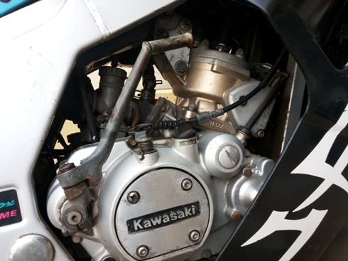 ขาย SERPICO SS ขาย SERPICO SS