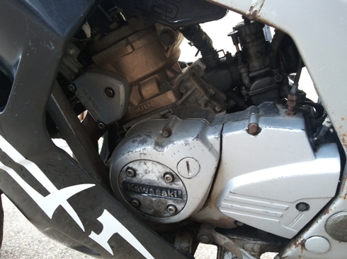 ขาย SERPICO SS ขาย SERPICO SS