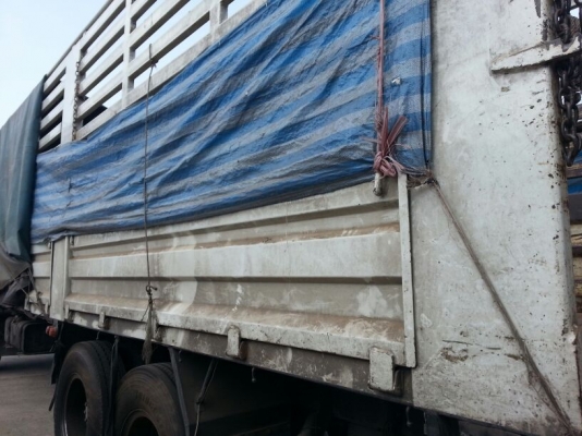 รถอีซูซุ 10 ล้อ หลังถนน FVM 230 แรงม้า. ปี 47    สนใจติดต่อ  081 - 6079515