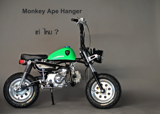 มังกี้แต่งๆๆ กอลิล่า แต่ง ลดราคาทุกรุ่น ต้อนรับปีใหม่ ด่วนๆๆ ลดๆๆ