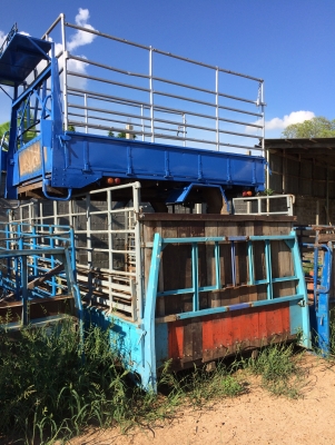 ขายกระบะ คาร์โก้ หกล้อ มีหลายขนาดให้เลือก ราคาถูก ชิ้นละ 8,000-10,000