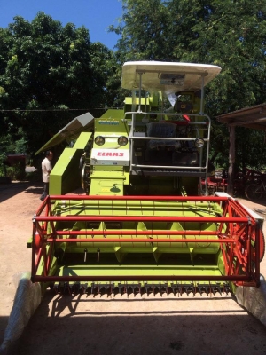 ขายดาวน์