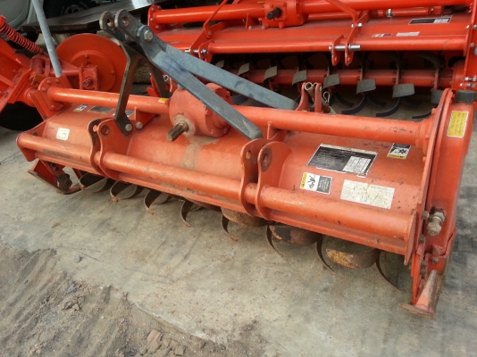 โรช้าง RX163  แถมใบ 1 ชุด..พร้อยยอยปั่น