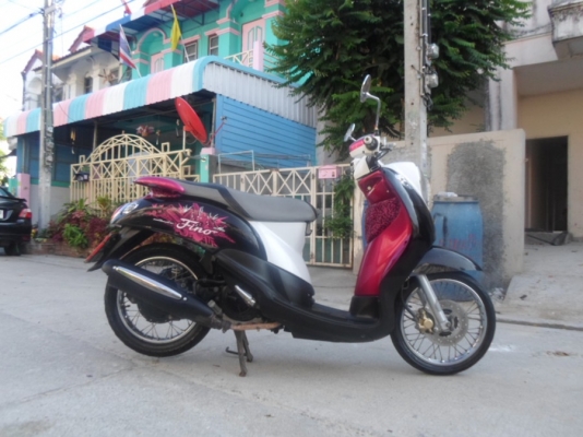 ยังไงก็ขาย fino ปี54 ท่ออาร์ม สวยๆ รถบ้านเดิมๆ ชุดโอนครบ