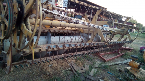 ขายชุดปากคอของศักดิ์ ขายชุดปากคอของศักดิ์