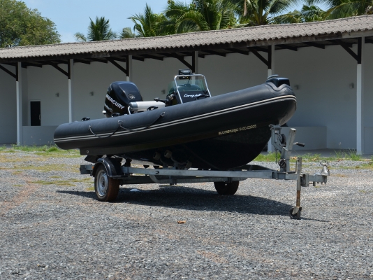 ขายเรือ CRB500 - JELLYFISH