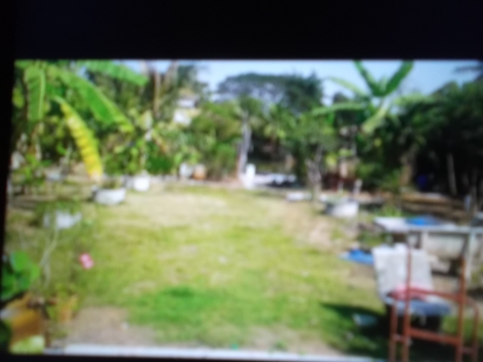 ขายบ้านพร้อมที่ดิน 2ไร่ ซื่อกับเจ้าของเอง  ย่านนิมิตรใหม่