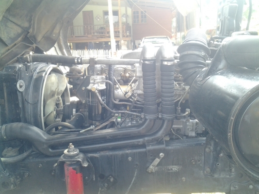 ขายเฉินหลงTFหัวคัสซี ขายเฉินหลงTFหัวคัสซี