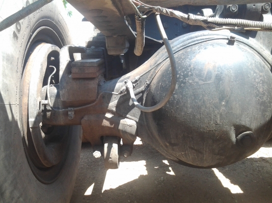 ขายเฉินหลงTFหัวคัสซี ขายเฉินหลงTFหัวคัสซี