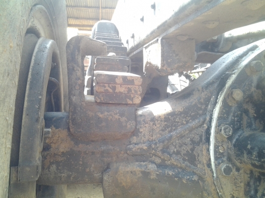 ขายเฉินหลงTFหัวคัสซี ขายเฉินหลงTFหัวคัสซี