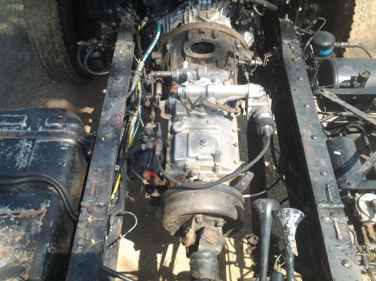 ขายเฉินหลงTFหัวคัสซี ขายเฉินหลงTFหัวคัสซี