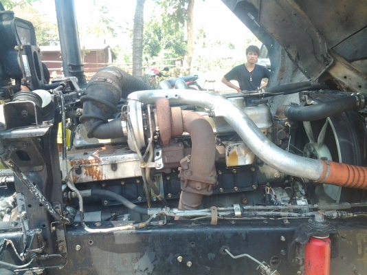 ขายเฉินหลงTFหัวคัสซี ขายเฉินหลงTFหัวคัสซี