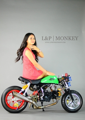 มังกี้แต่งๆๆ กอลิล่า แต่ง ลดราคาทุกรุ่น ต้อนรับปีใหม่ ด่วนๆๆ ลดๆๆ