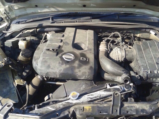 นิสสันนาวาล่าเเคป เครื่องYD 2500 ปี10 เเยกขายเป็นอะไหลได้ทุกอย่างมีอีกหลายรุ่น นิสสันนาวาล่าเเคป เครื่องYD 2500 ปี10 เเยกขายเป็นอะไหลได้ทุกอย่างมีอีกหลายรุ่น