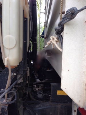 รถอีซูซุ 10 ล้อดั้ม 360 แรงม้า. ปี 57  ( ขายแม่ , ลูก )   สนใจติดต่อ  081 - 6079515