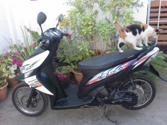 ขายคลิกสีขาวดำเครื่องเดิม ขายคลิกสีขาวดำเครื่องเดิม