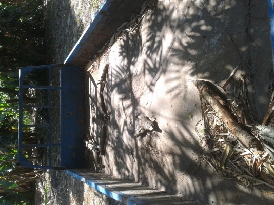 ขายกะบะ6ล้อ