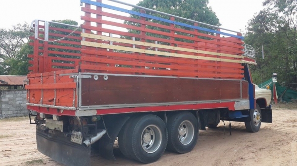 ขาย10ล้อหน้ายาว HINO168 EH700 เบรคทิ๊ฟฟี่ พ.เพาเวอร์ ทะเบียนเต็ม แชชซีสวยเครื่องดี คอกสวยพื้นดี ภายในครบ สภาพพร้อมใช้งาน ช่วงล่างมิตซู ขาย10ล้อหน้ายาว HINO168 EH700 เบรคทิ๊ฟฟี่ พ.เพาเวอร์ ทะเบียนเต็ม แชชซีสวยเครื่องดี คอกสวยพื้นดี ภายในครบ สภาพพร้อมใช้งาน ช่วงล่างมิตซู