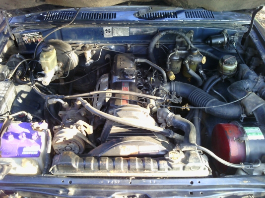 ขายไมตี้เอ็กแคป