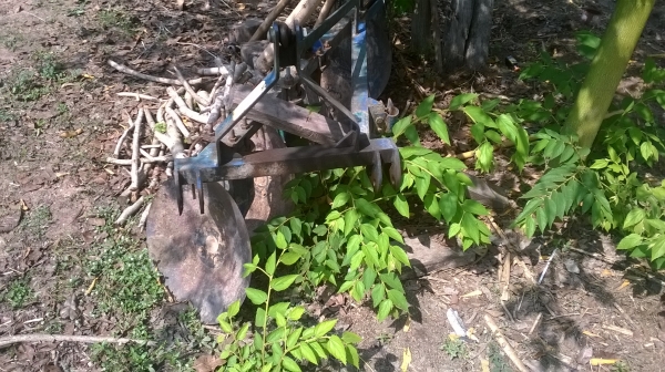 ผานกระทุชาญพานิช สิงห์บุรี  5 ใบ +โลตารี่ 1.40 เหมาๆ 15000 ส่งฟรี