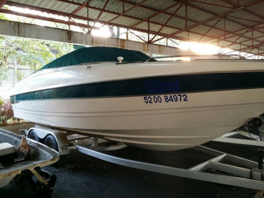 Bayliner 23ฟุต 7.4MPl  bravo3