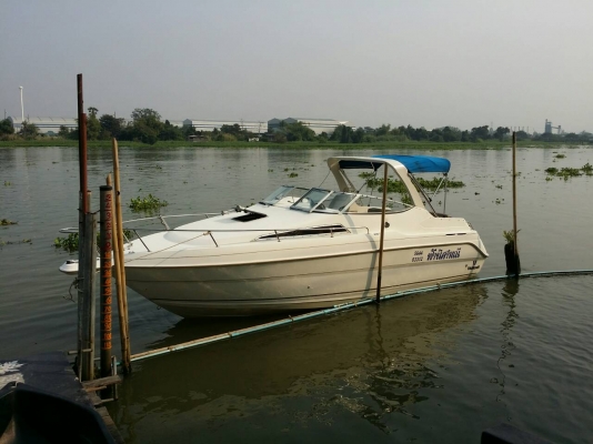 wellcraft 26ft 5.8volvo