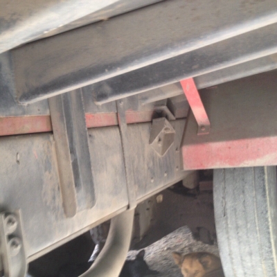 ขายรถ18ล้อรั้ว ISUZU FXZ23NZF22 เครื่อง 270แรงม้า ปี46 สนใจโทร 081-970-1072