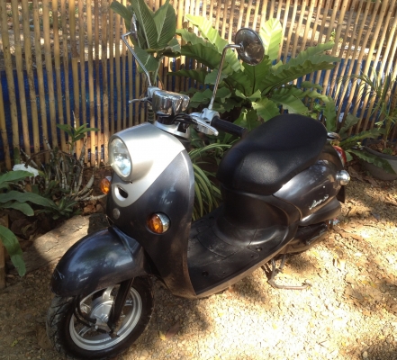 ขายYamaha vino50cc.เก่าญี่ปุ่น หม้อน้ำ พร้อมใช้ครับ ขายYamaha vino50cc.เก่าญี่ปุ่น หม้อน้ำ พร้อมใช้ครับ