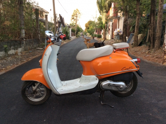 ขายรถป๊อป honda GIORNO Grea