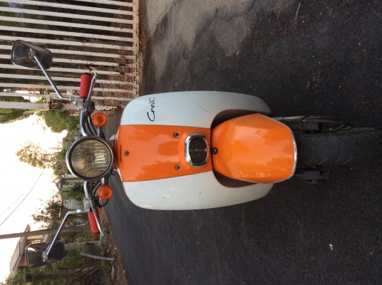 ขายรถป๊อป honda GIORNO Grea