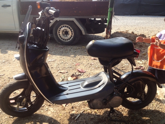 ขายป๊อป Suzuki choinori 50