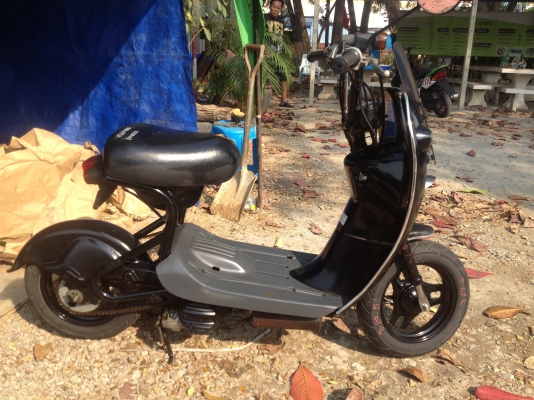 ขายป๊อป Suzuki choinori 50