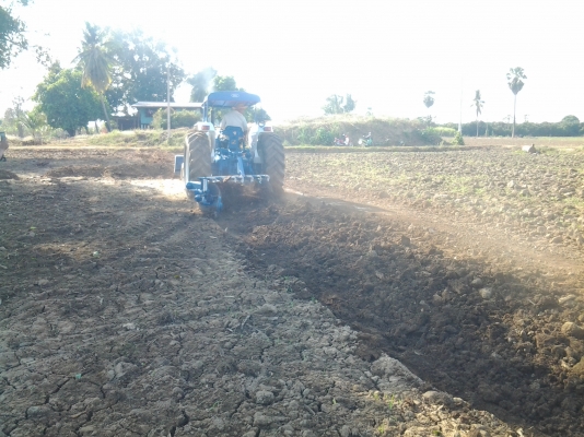 ขายรถไถฟอรด์6600เสื้อลายไอดีโตเครื่องดีเกียร์เงียบไฮโดหลิกดีใบมืดCMTผาน7CMT ขายรถไถฟอรด์6600เสื้อลายไอดีโตเครื่องดีเกียร์เงียบไฮโดหลิกดีใบมืดCMTผาน7CMT