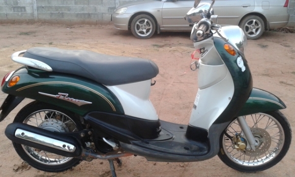 ขายฟีโน่ปี51เดิมๆ-11500..