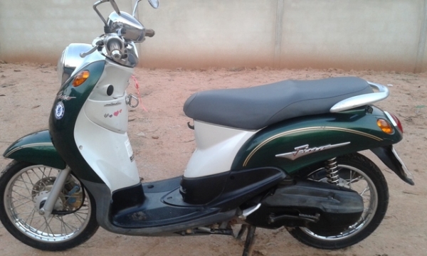 ขายฟีโน่ปี51เดิมๆ-11500..