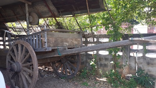 ขายเกวียนล้านนาของภาคเหนือแท้100\% สภาพดี...สวยมาก