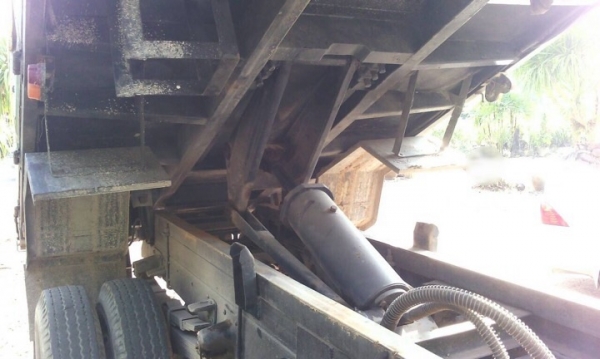 รถฮีโน่ 6 ล้อดั้ม FC2W  120 แรงม้า. ปี 39  สนใจติดต่อ  081 - 6079515