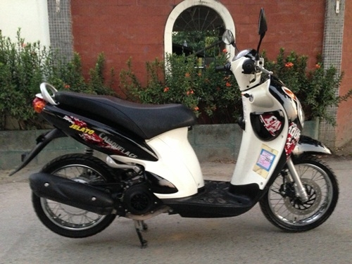 ขายjelatoสีดำปี2554